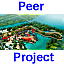 Peer Project